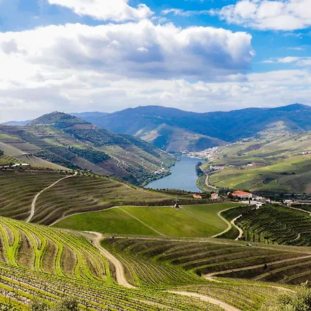 House Dinavast Pet Friendly