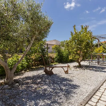 House Dinavast Pet Friendly Lägenhet São João da Pesqueira
