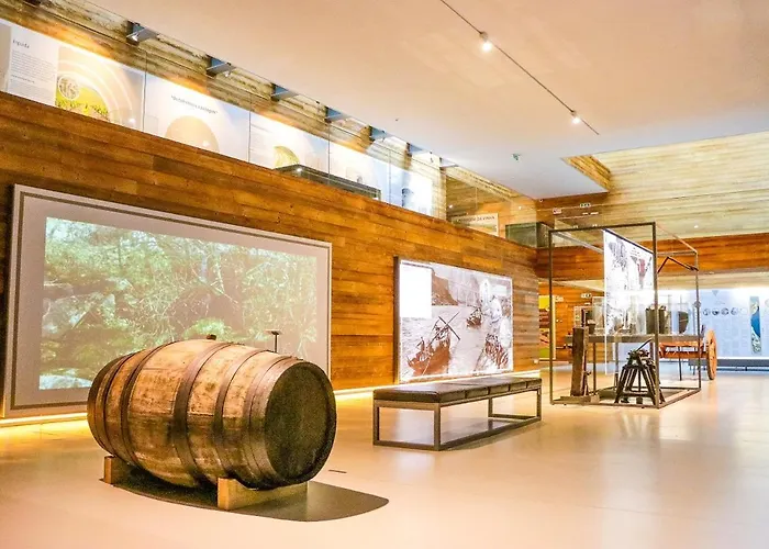 House Dinavast Pet Friendly * São João da Pesqueira