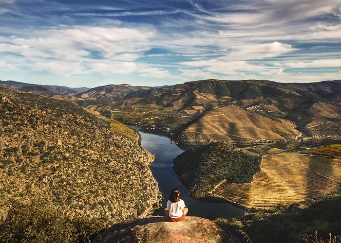 Lejlighed House Dinavast Pet Friendly São João da Pesqueira