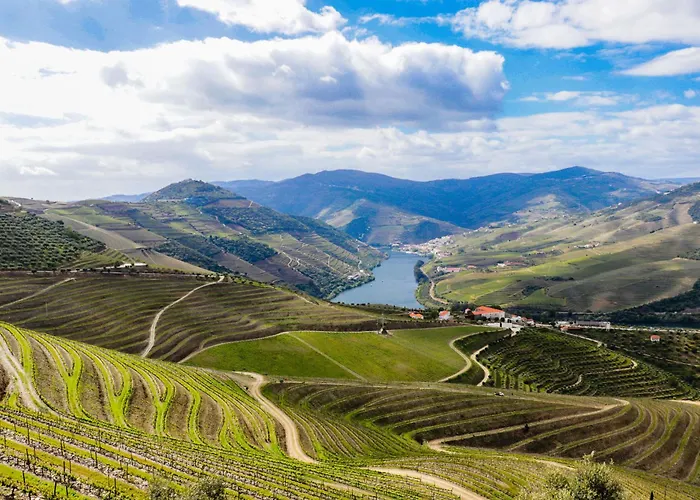 House Dinavast Pet Friendly