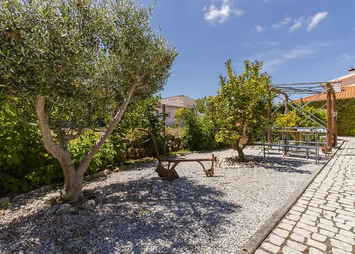 House Dinavast Pet Friendly Apartamento São João da Pesqueira